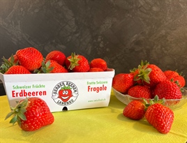 Neu passend zum Doppelrahm: Erdbeeren